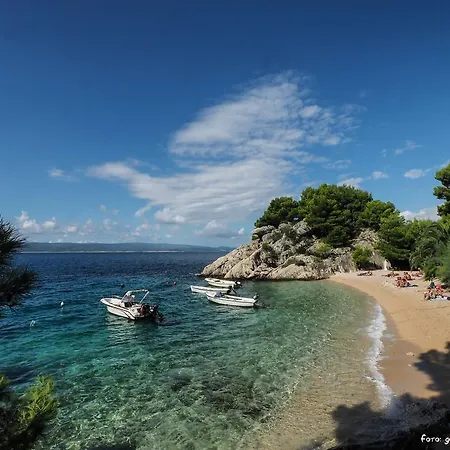 לינה וארוחת בוקר Petra ברלה