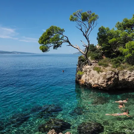 Oda ve Kahvaltı Petra Brela