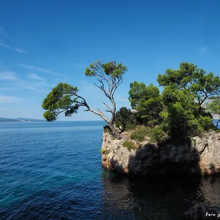 Petra Oda ve Kahvaltı Brela